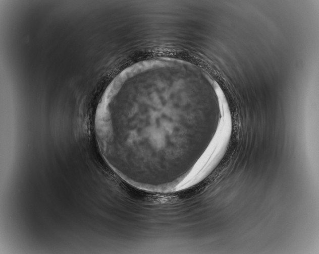 X0000096380663200802211122