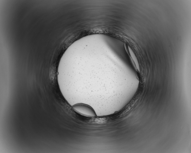 X0000096380665200802211122