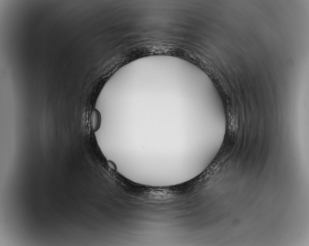 X0000096380666200802211122