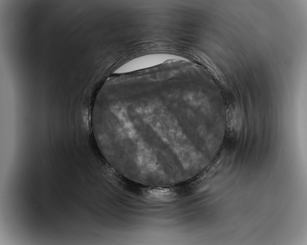 X0000096380669200802211122