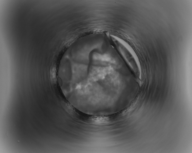 X0000096380670200802211122