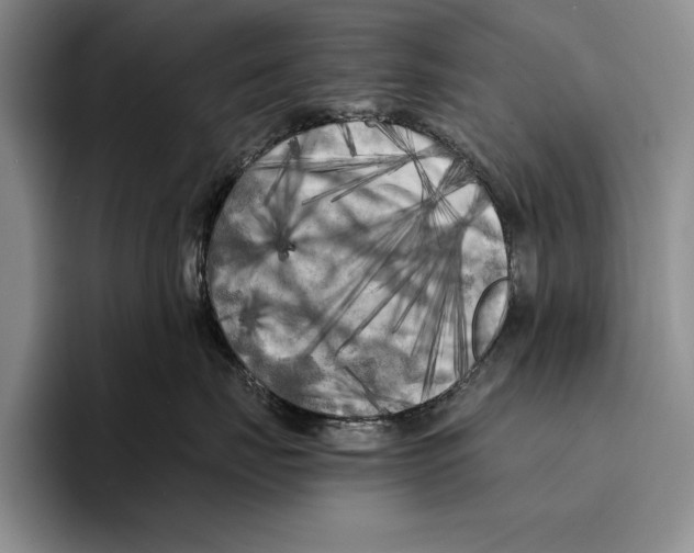 X0000096380671200802211122