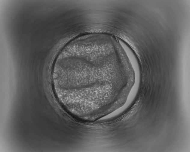 X0000096380673200802211122