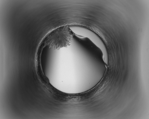 X0000096380676200802211122