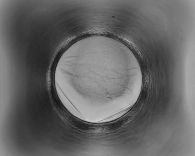 X0000096380678200802211122