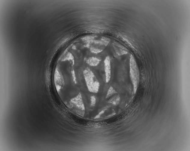 X0000096380679200802211122