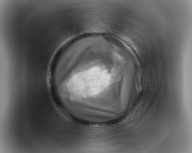 X0000096380680200802211122