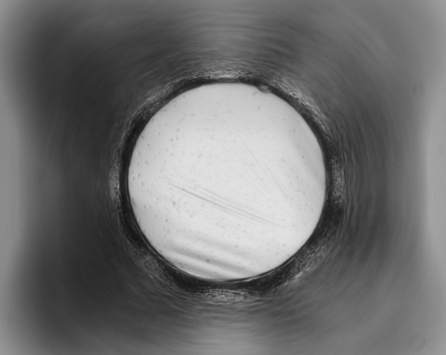 X0000096380681200802211122