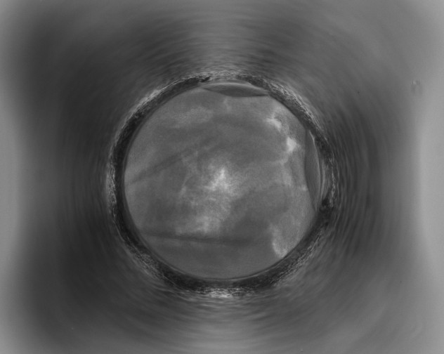 X0000096380684200802211121