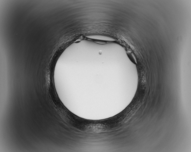 X0000096380685200802211121