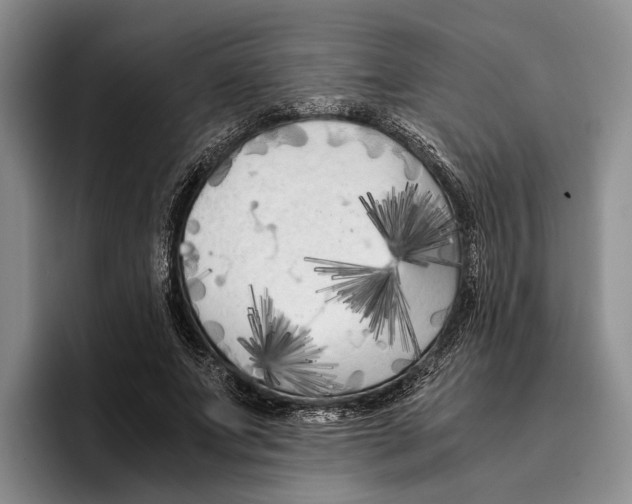 X0000096380687200802211121