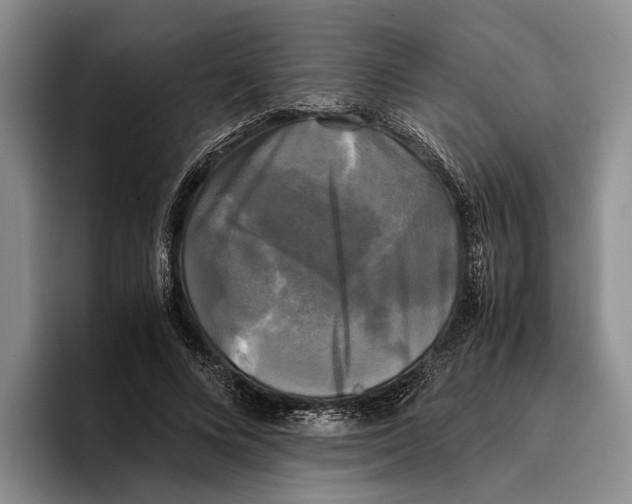 X0000096380688200802211121