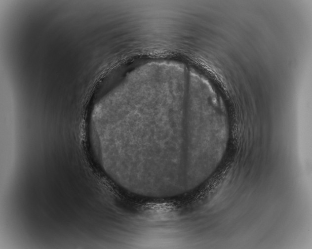 X0000096380689200802211121