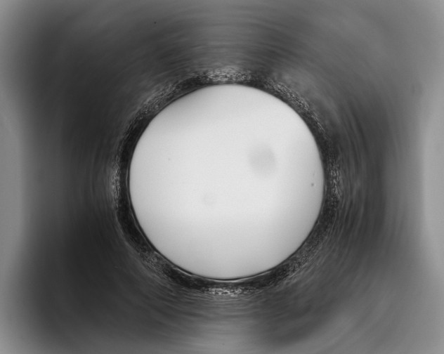 X0000096380690200802211121