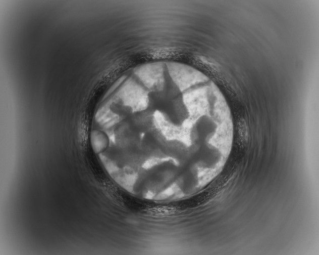 X0000096380691200802211121