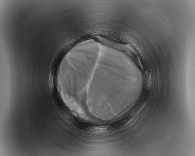 X0000096380692200802211121