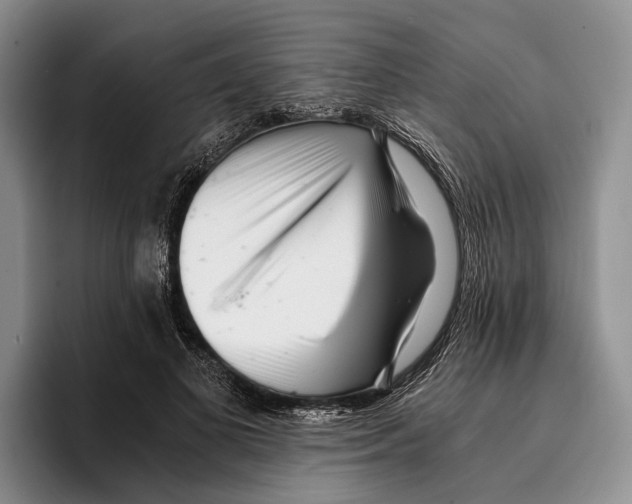 X0000096380693200802211121