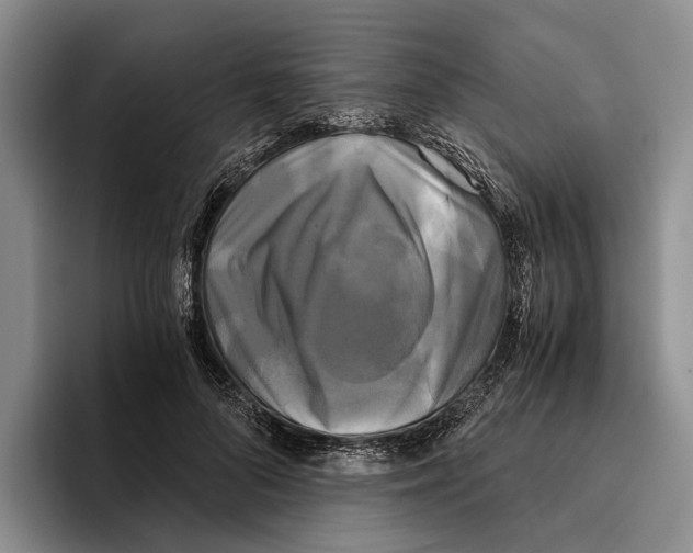 X0000096380696200802211121