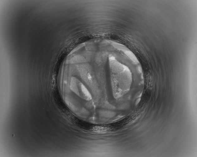 X0000096380699200802211121