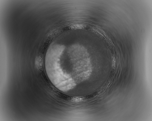 X0000096380701200802211121