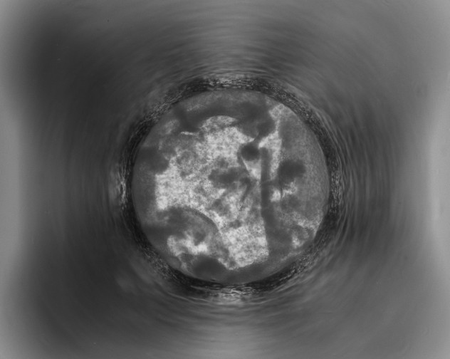 X0000096380703200802211121