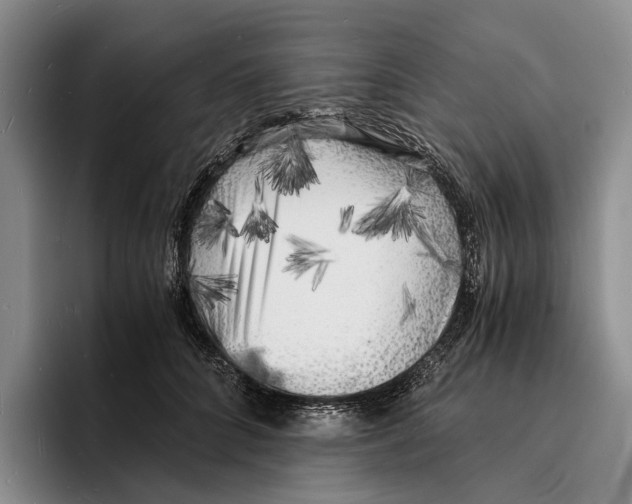 X0000096380704200802211121