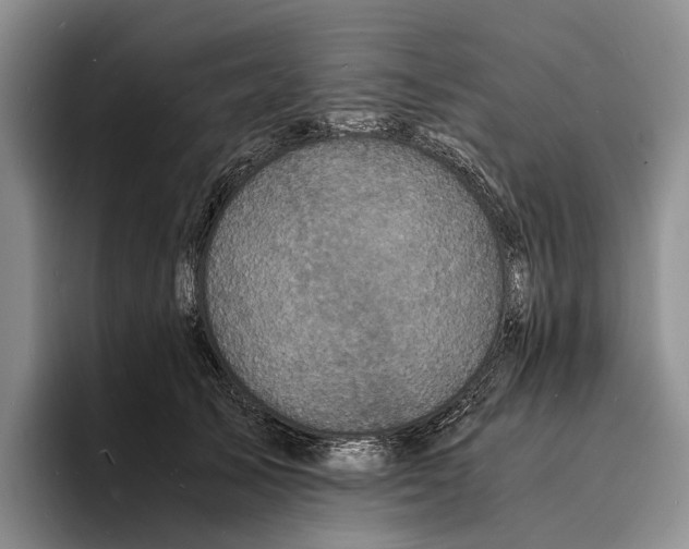 X0000096380705200802211121