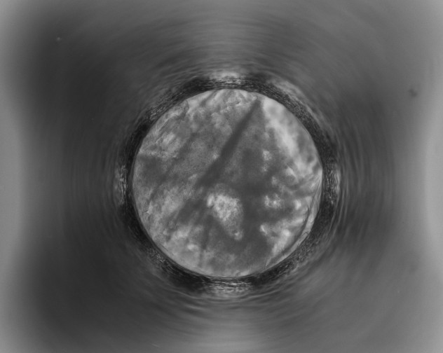 X0000096380707200802211121