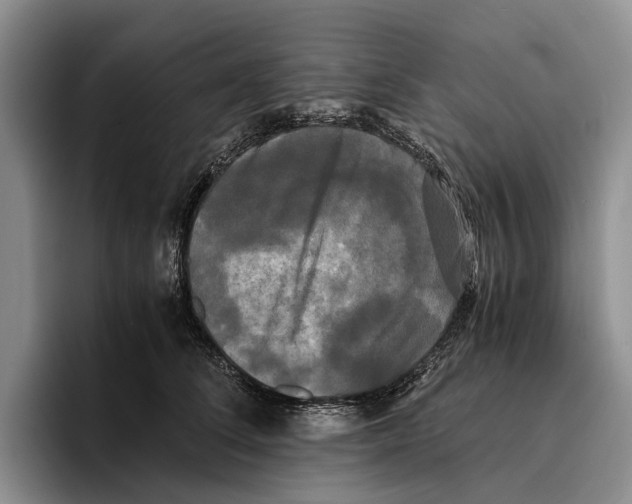 X0000096380708200802211121