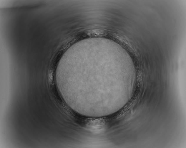 X0000096380709200802211121