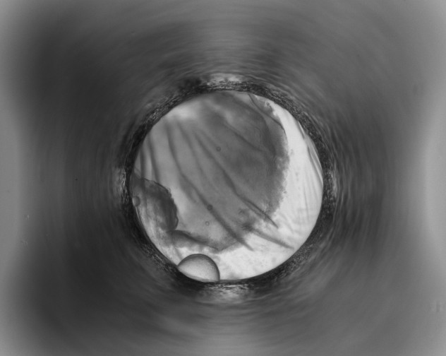 X0000096380711200802211121