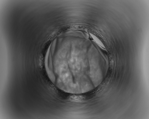 X0000096380712200802211121