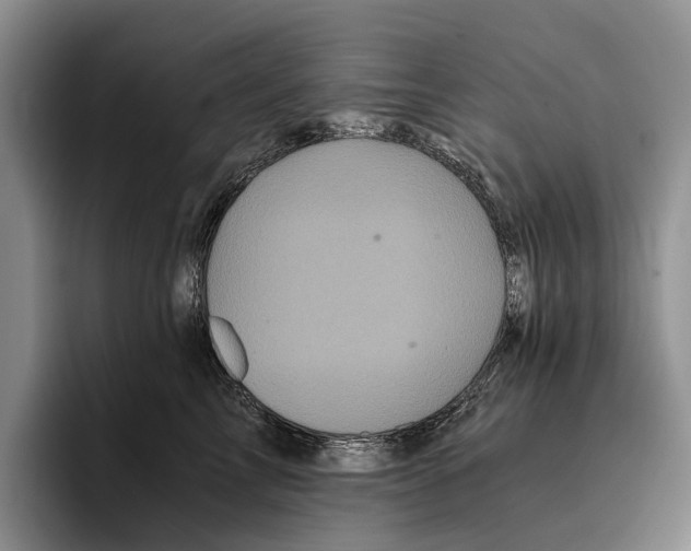 X0000096380713200802211121