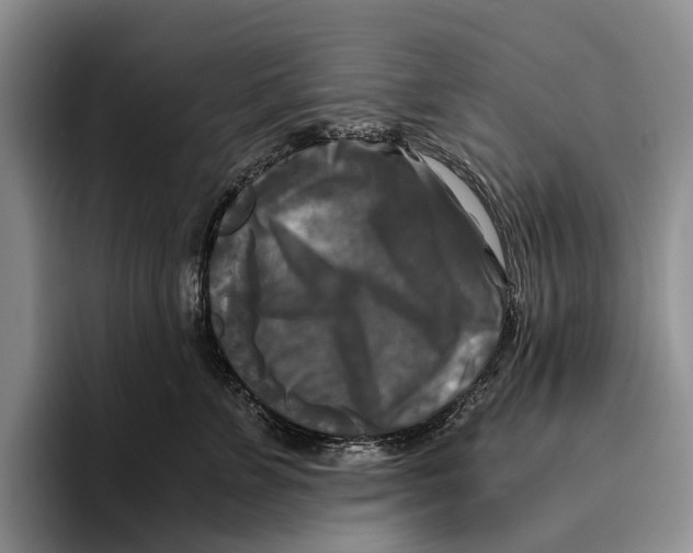 X0000096380715200802211121