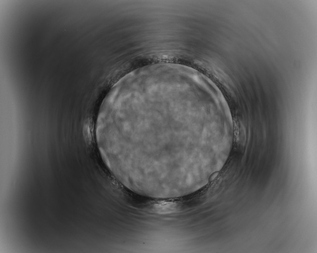 X0000096380718200802211121