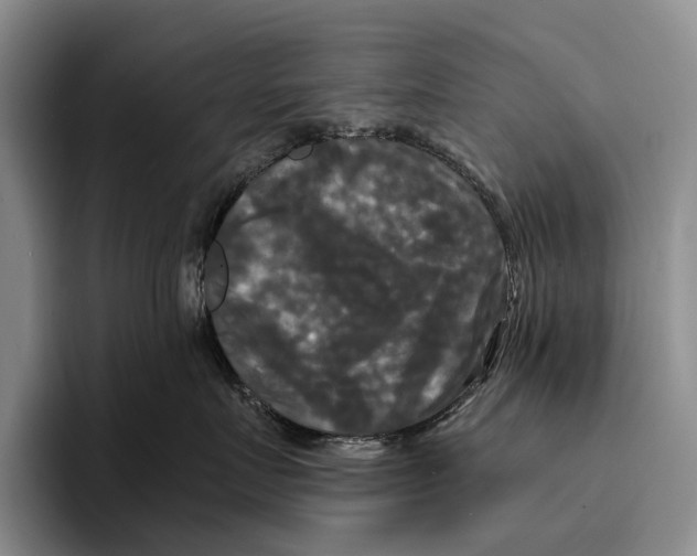 X0000096380719200802211121