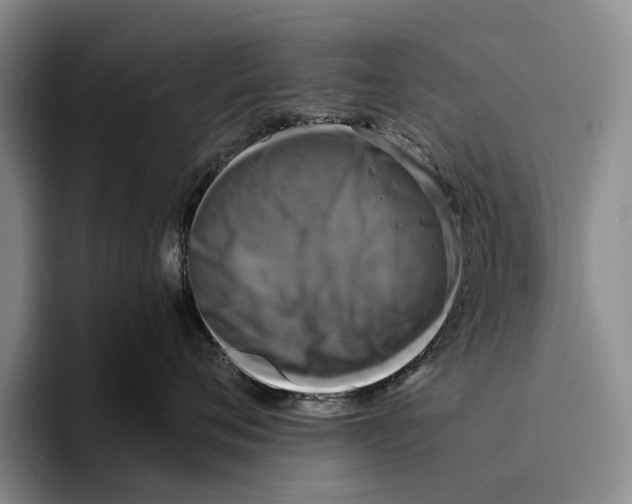 X0000096380720200802211121