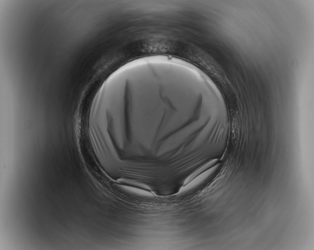 X0000096380722200802211120