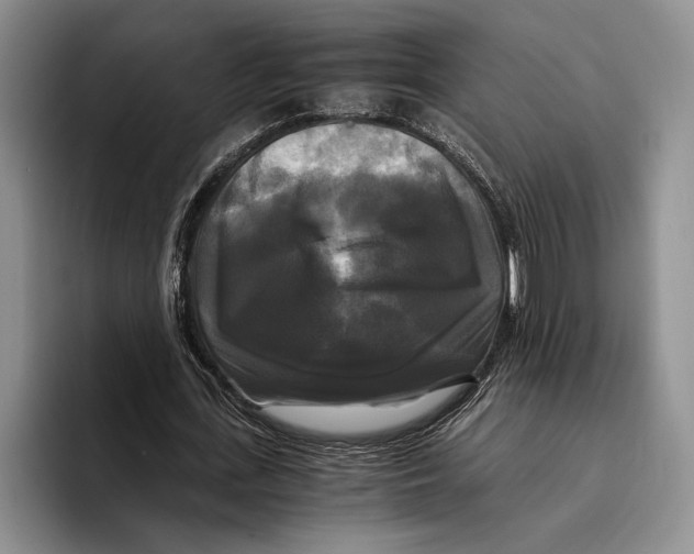 X0000096380723200802211120