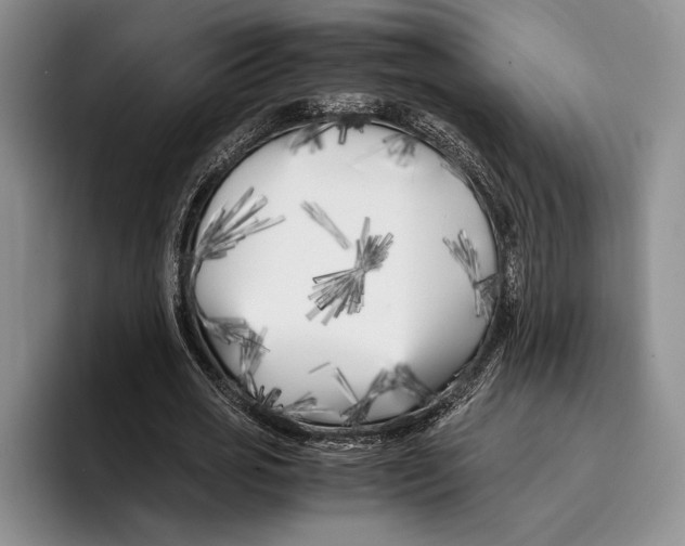 X0000096380725200802211120