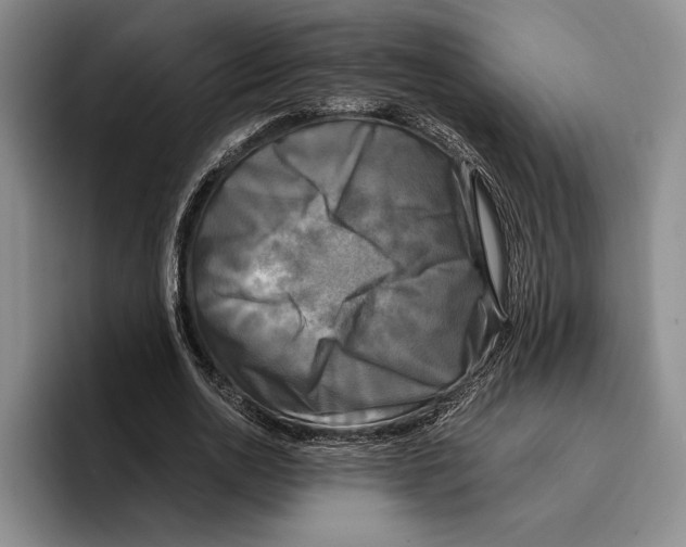 X0000096380726200802211120