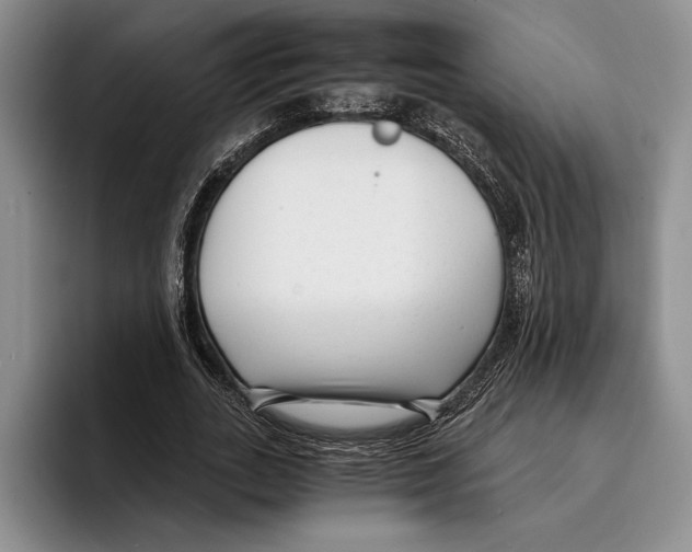 X0000096380727200802211120