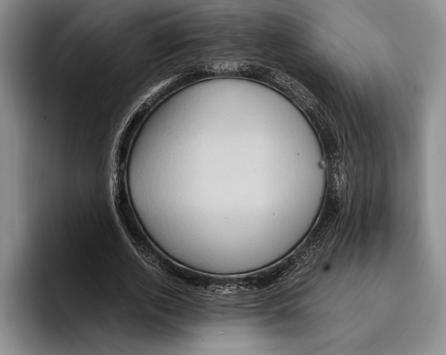 X0000096380728200802211120