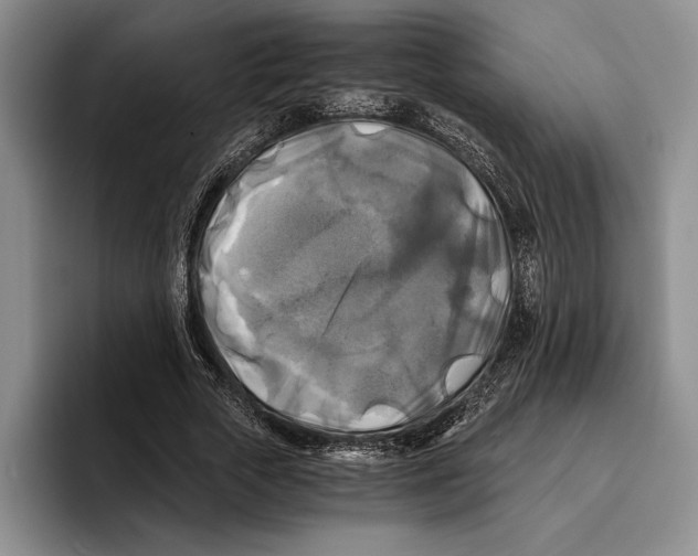 X0000096380729200802211121