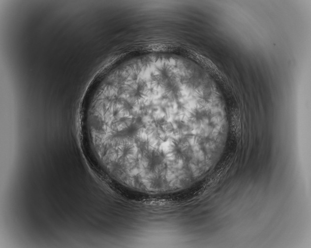 X0000096380730200802211121