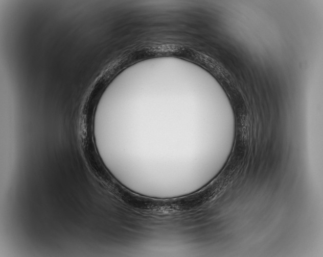 X0000096380731200802211121