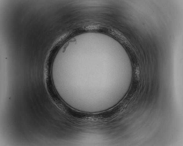 X0000096380732200802211121