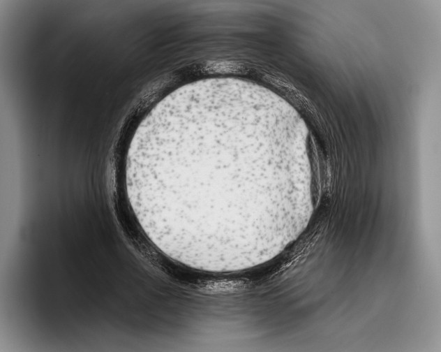 X0000096380734200802211121