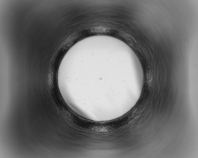 X0000096380735200802211121