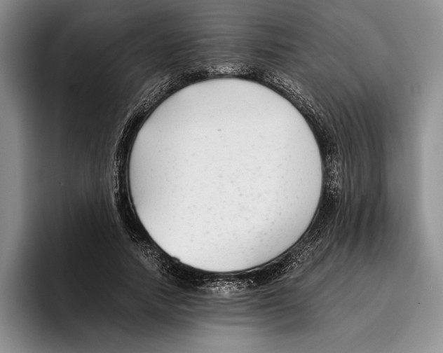 X0000096380738200802211121